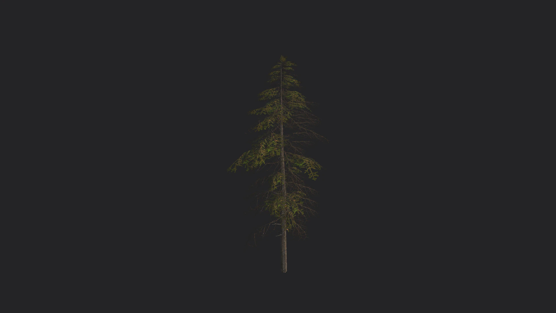 Tree 019 3D Model .c4d .max .obj .3ds .fbx .stl .blend 