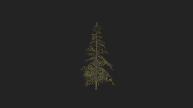 Tree 020 3D Model .c4d .max .obj .3ds .fbx .stl .blend 