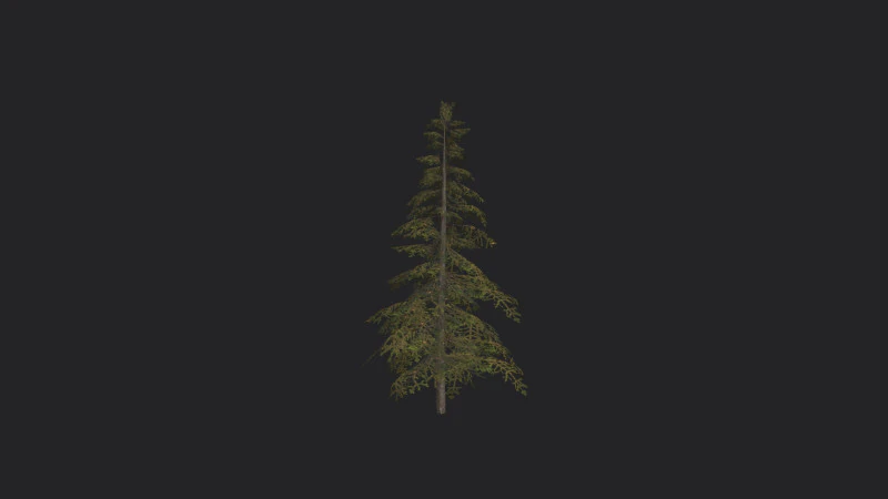 Albero 020 Modello 3D .c4d .max .obj .3ds .fbx .stl .blend