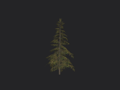 Tree 020 3Dモデル