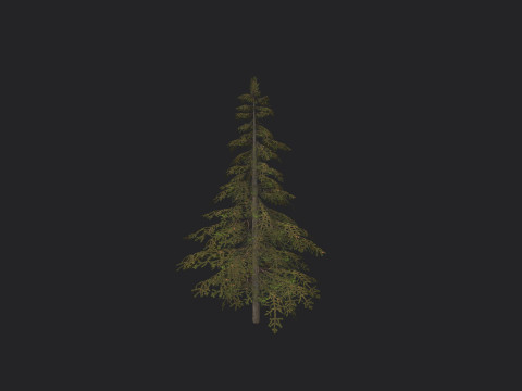 Tree 020 3D Model