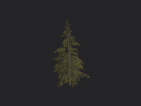 Tree 020 3D Model