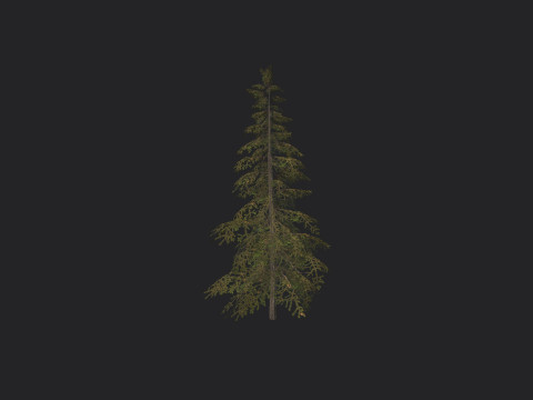 Tree 020 3D Model