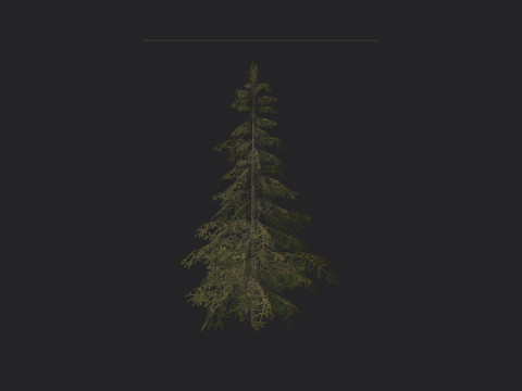 Tree 020 3D Model