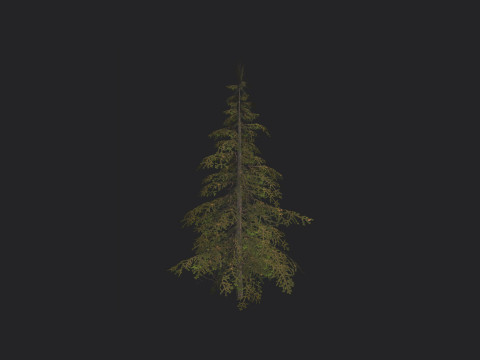 Tree 020 3D Model
