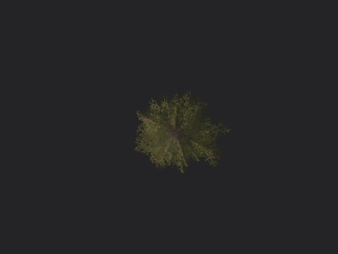Tree 020 3D Model