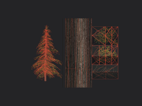 Tree 020 3D Model