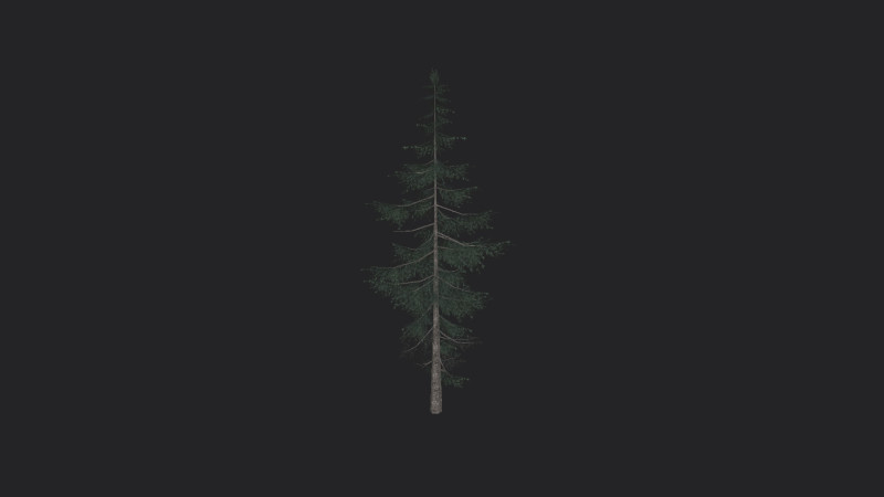 Tree 021 3D Model .c4d .max .obj .3ds .fbx .stl .blend 