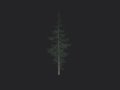Tree 021 3D Model