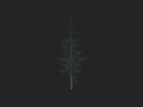 Tree 021 3D Model