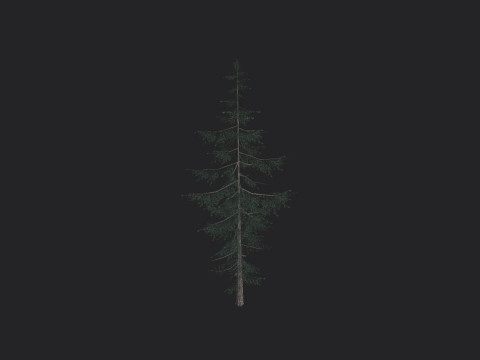 Tree 021 3D Model