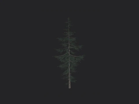 Tree 021 3D Model