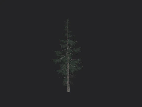 Tree 021 3D Model