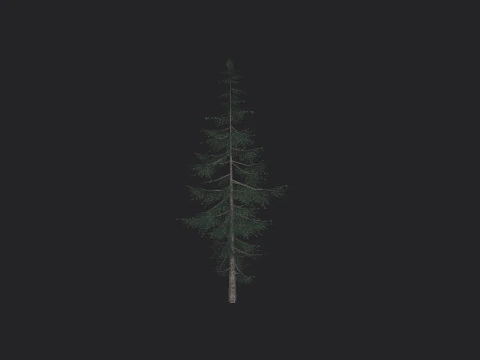 Tree 021 3D Model