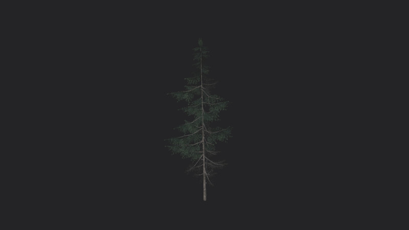 Tree 022 Model 3D .c4d .max .obj .3ds .fbx .stl .blend 