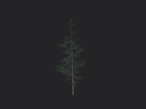 Tree 022 3Dモデル