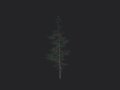 Tree 022 3D Model