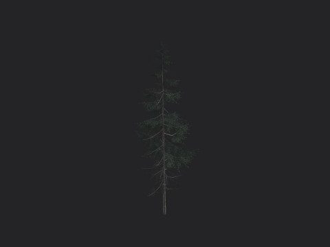 Tree 022 Model 3D