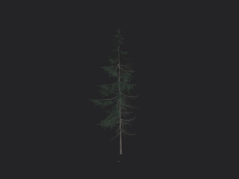 Tree 022 Model 3D
