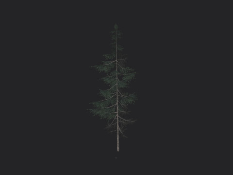 Tree 022 Model 3D