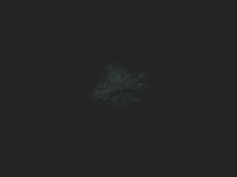 Tree 022 Model 3D