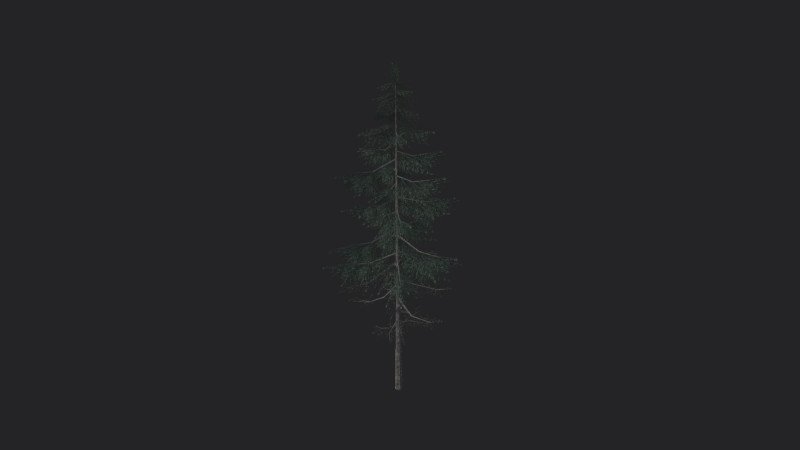 Tree 023 Model 3D .c4d .max .obj .3ds .fbx .stl .blend 