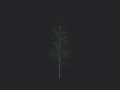 Tree 023 3D Model