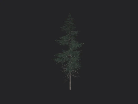 Tree 023 3D Model