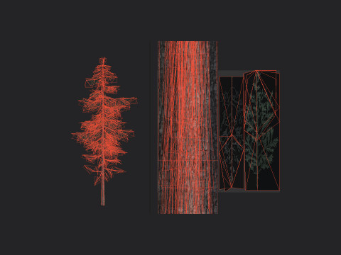 Tree 023 Model 3D