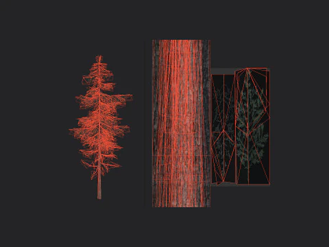 Tree 023 3D Model