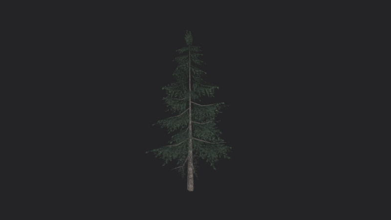 Tree 024 3D-Modell .c4d .max .obj .3ds .fbx .stl .blend 
