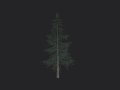 Tree 024 3D Model