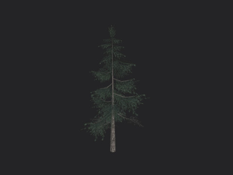 Tree 024 3D-Modell