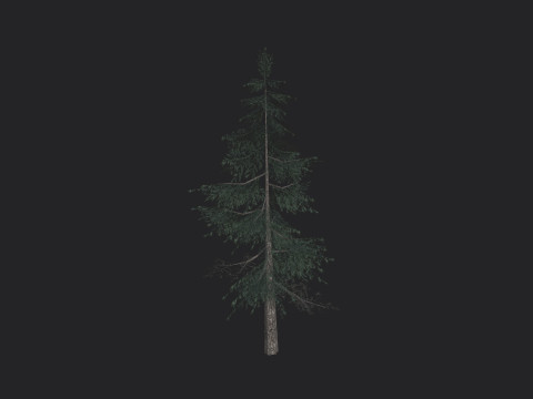 Tree 024 3D-Modell