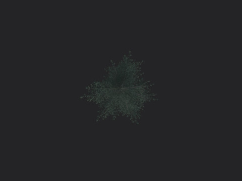 Tree 024 3D-Modell