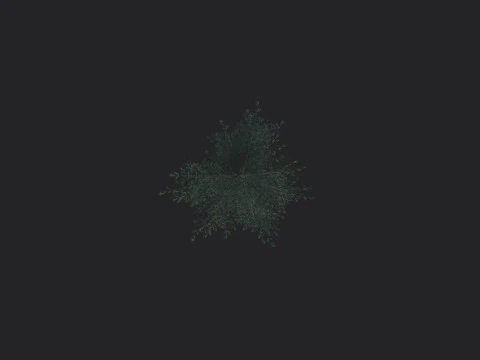 Tree 024 3D Model