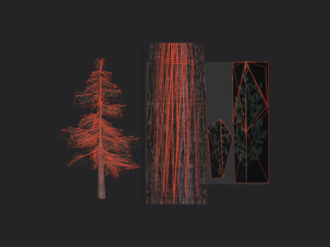 Tree 024 3D-Modell