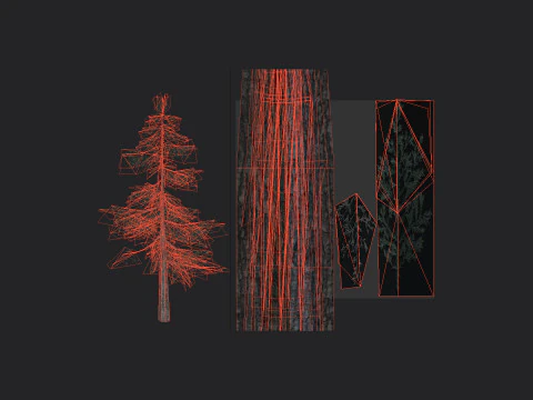 Tree 024 3D Model