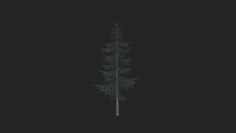 Tree 025 Modello 3D .c4d .max .obj .3ds .fbx .stl .blend 