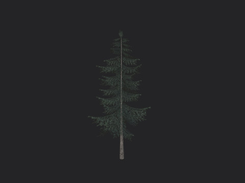 Tree 025 3D Model