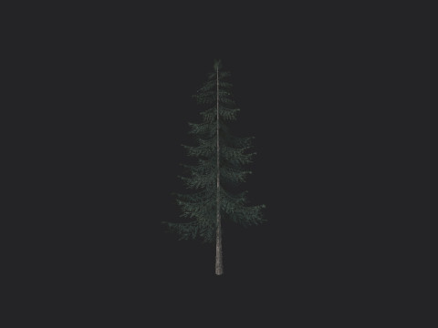 Tree 025 Modello 3D