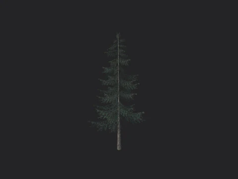 Tree 025 3D Model