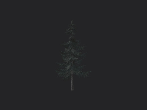 Tree 025 Modello 3D