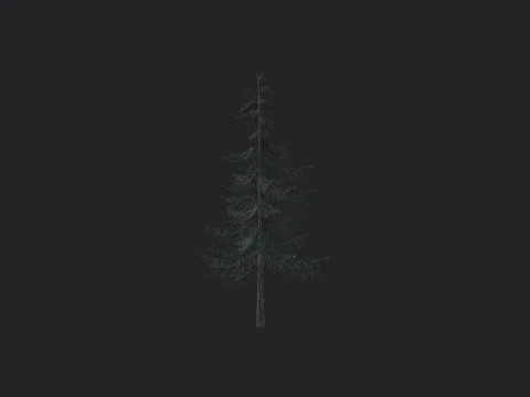 Tree 025 3D Model
