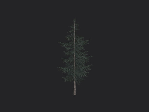 Tree 025 Modello 3D