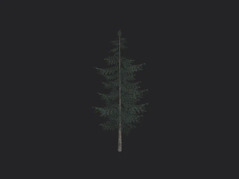 Tree 025 3D Model