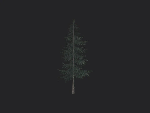 Tree 025 3D Model