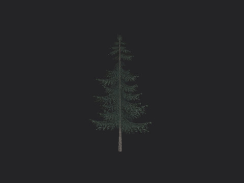 Tree 025 Modello 3D