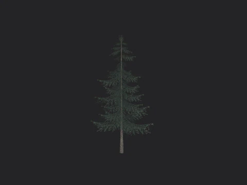 Tree 025 3D Model