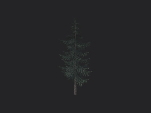 Tree 025 Modello 3D
